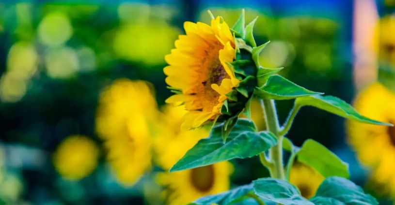 A oportunidade de transformação!