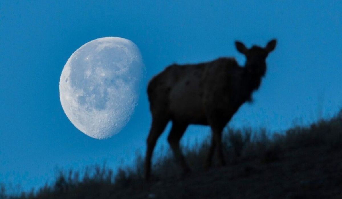 LUA HOJE - Confira a fase da Lua nesta terça-feira 07/04/2026

