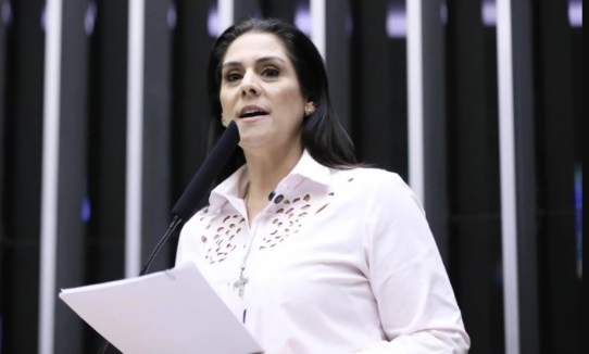 Flávio se reúne com deputada cotada como vice de chapa