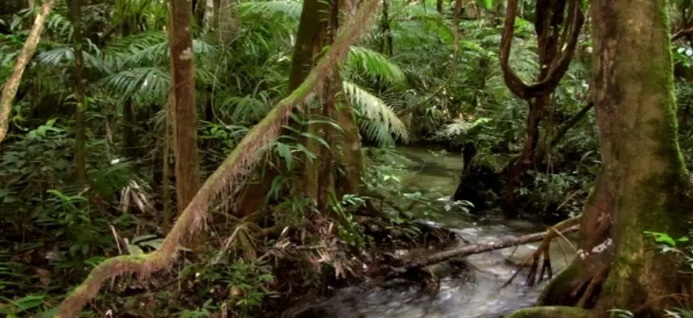Tropas do Exército brasileiro são atacadas por traficantes na fronteira entre Brasil e Colômbia