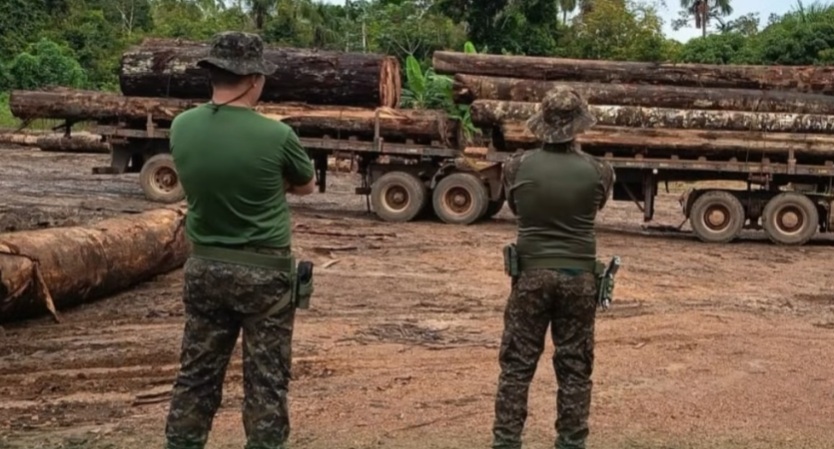 Polícia Ambiental apreende madeira irregular em operação no distrito de Triunfo