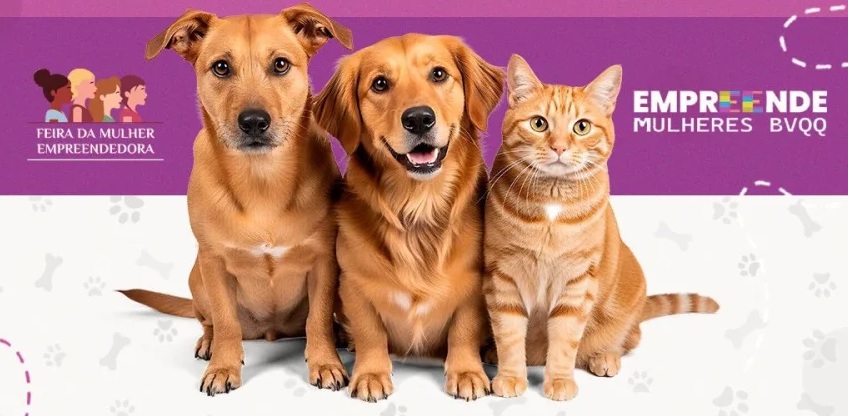 AMOR SEM TRAIÇÃO -EmpreendePet lota Espaço Alternativo e segue neste domingo com adoção de mais de 200 animais