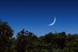 Confira a fase da Lua nesta segunda-feira 20/04/2026