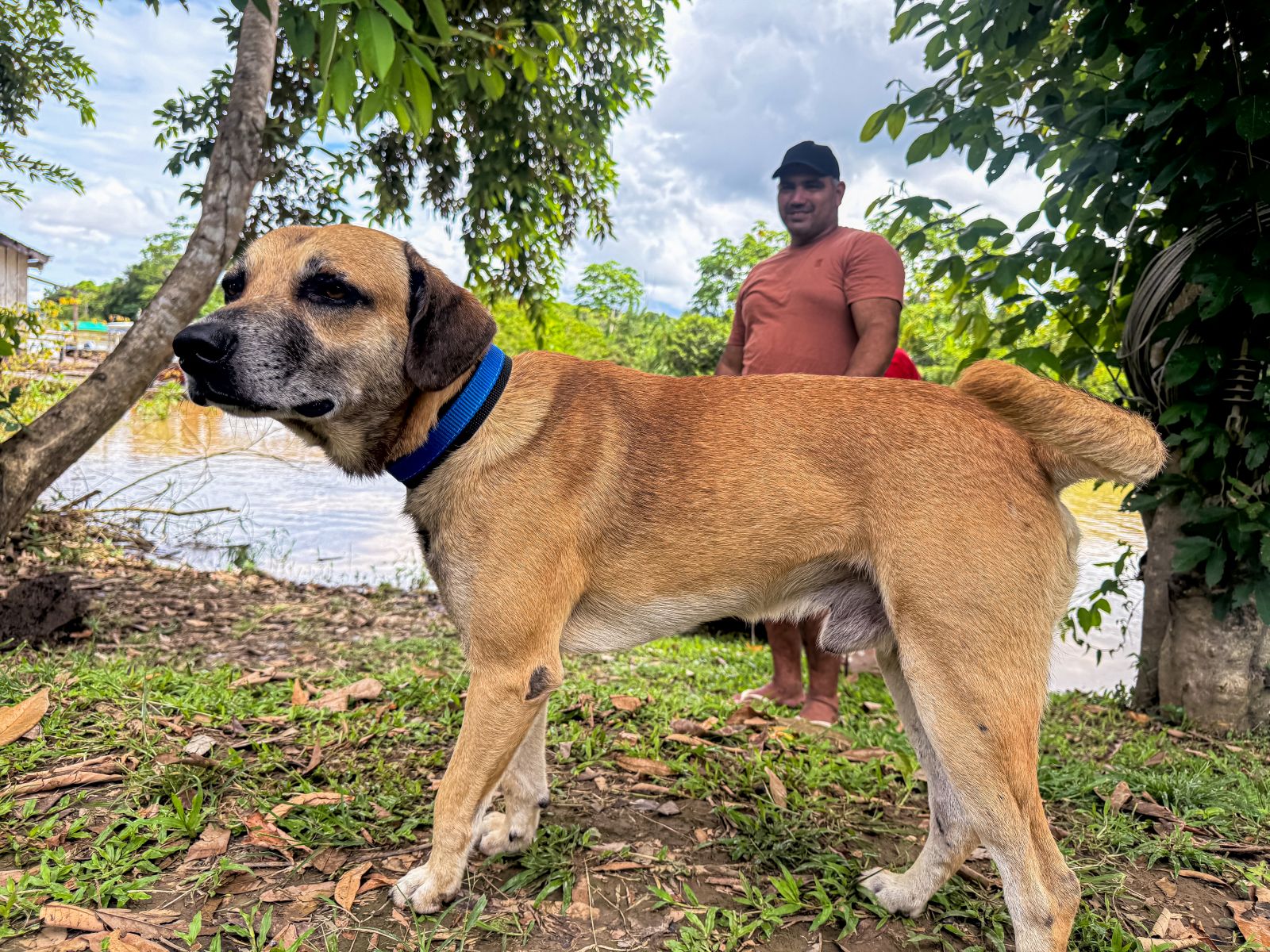 Nazaré vira exemplo de cuidado animal