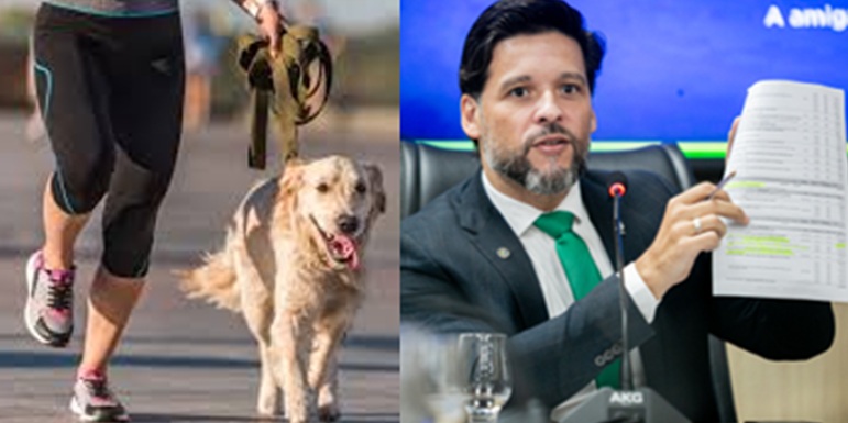 Lei garante acesso de cães de terapia e combate discriminação em Rondônia