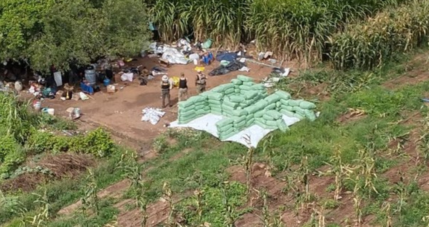 Zanin suspende eliminação de candidata a soldado da PM do Tocantins com 1,55 m de altura