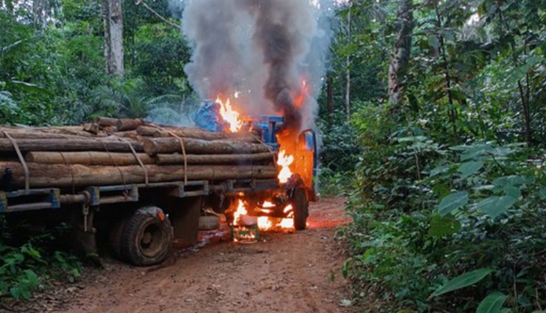 Operação integrada da PF faz apreensões e incendeia máquinas em terras indígenas de Rondônia
