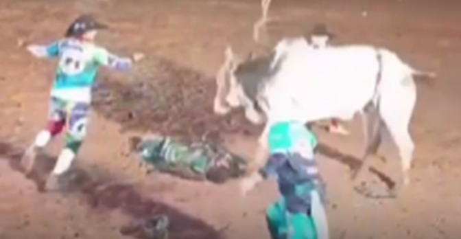Peão morre após ser pisoteado por touro durante apresentação em Rondônia