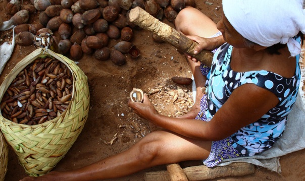Comissão do Senado aprova ofício das quebradeiras de coco babaçu como manifestação cultural