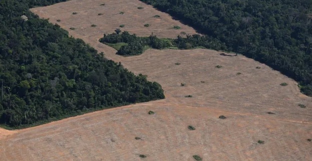 GRILAGEM PERMITIDA - Leis da Amazônia permitem receber terra pública mesmo sem morar ou trabalhar nela

