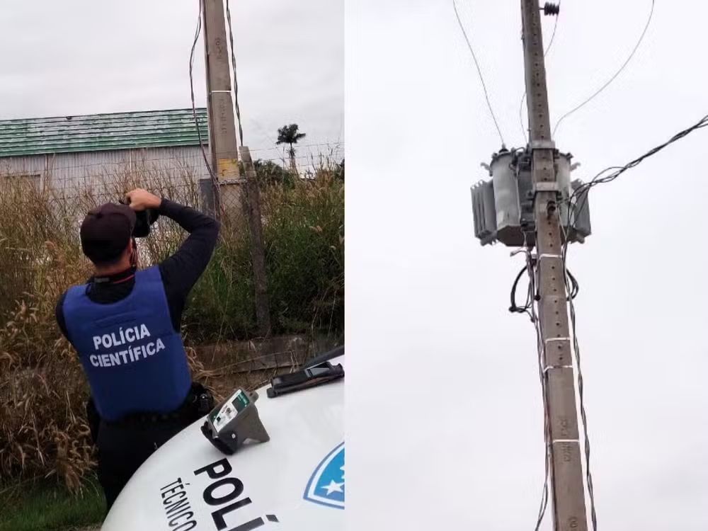Empresa de leite é suspeita de furtar energia suficiente para abastecer 100 casas em RO