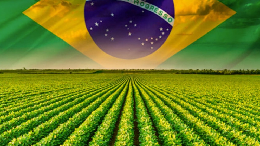 Agro comemora avanço de projeto para renegociar dívidas e recuperar investimento; mas governo Lula não gostou