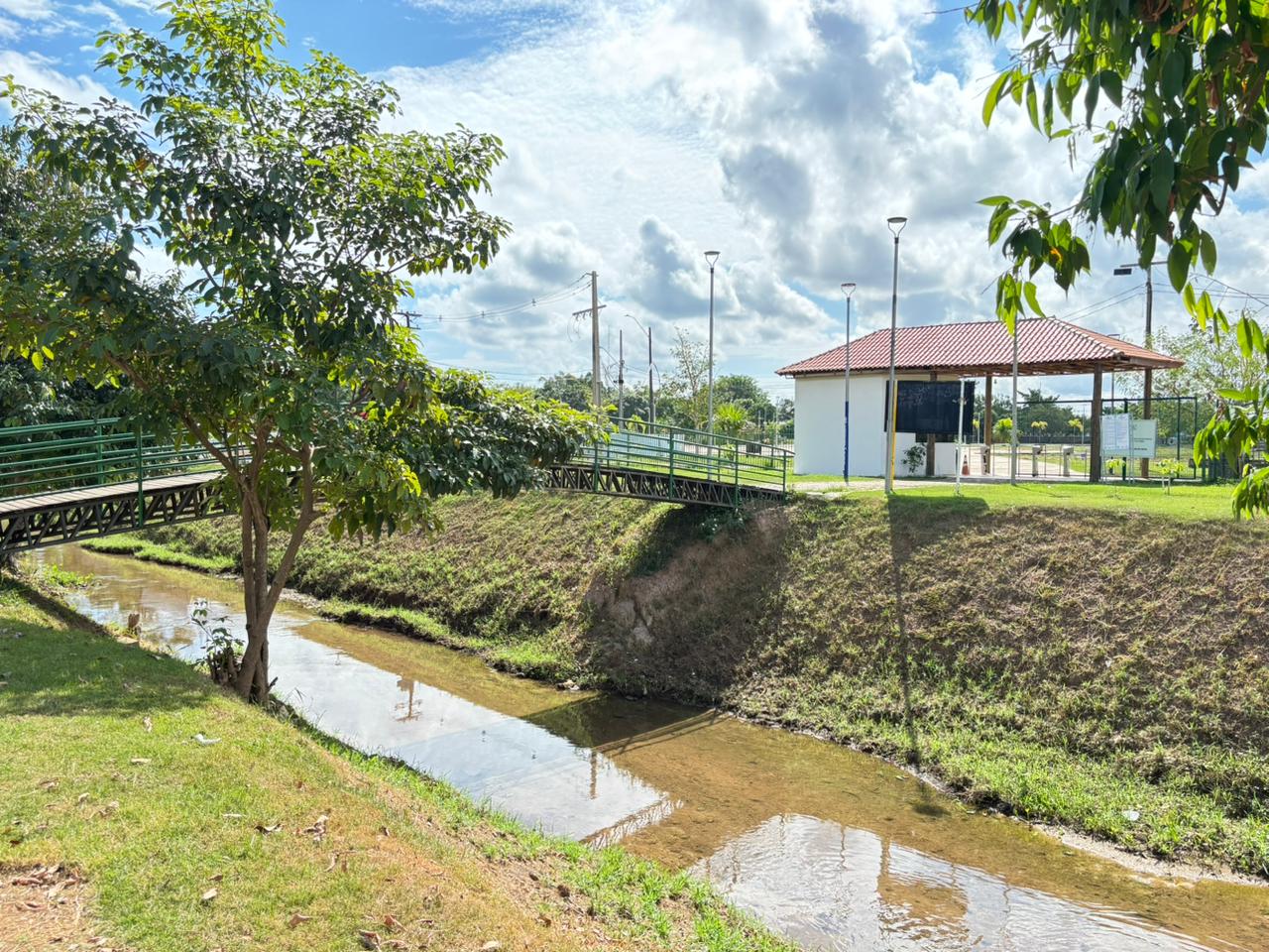 GRATA SURPRESA - Após limpeza da Prefeitura, peixes voltam a aparecer no Igarapé do Botinha
