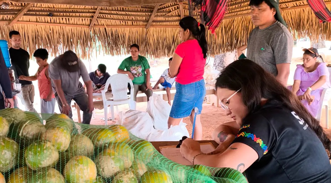 INCLUSOS NA ECONOMIA DE RO - Segurança alimentar e geração de renda são impulsionadas em comunidade indígena por meio do PAA

