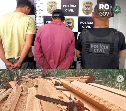 OPERAÇÃO - DOIS HOMENS SÃO PRESOS POR CORTE ILEGAL DE CASTANHEIRA EM NOVA MAMORÉ