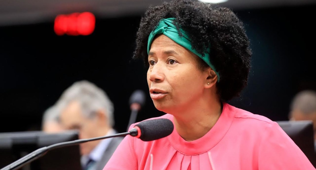 ATUAÇÃO PRODUTIVA -  Sílvia Cristina se destaca na relatoria de projetos na Câmara dos Deputados
