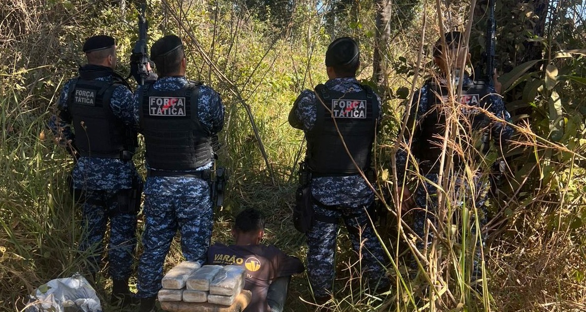 RAMAL DAS ÁGUAS KAIARY - Força Tática apreende grande quantidade de maconha e conduz adolescente por ato infracional em Porto Velho

