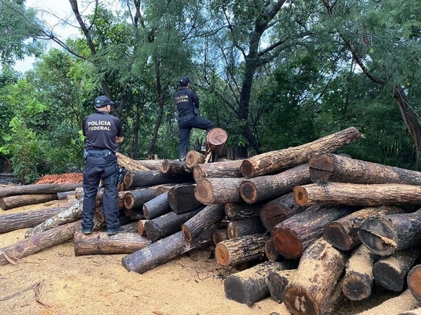 PF combate exploração ilegal em terras indígenas e intensifica ofensiva contra crimes ambientais