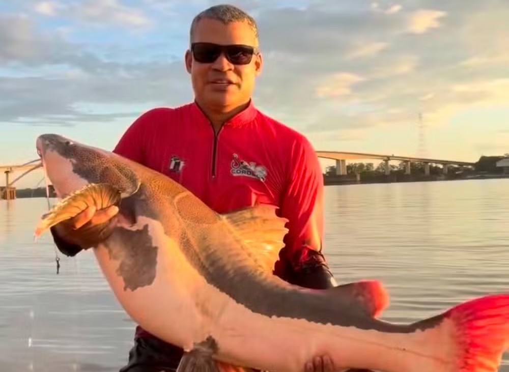 Pescador é 'arrastado' por peixe de 40 kg durante captura no rio Madeira, em Porto Velho