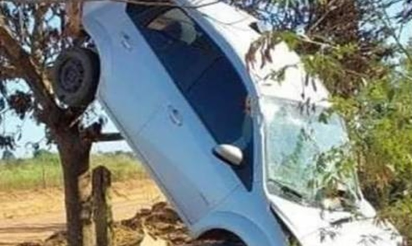 TREPADO NA ÁRVORE - Ultrapassagem termina em capotamento e motorista escapa na zona rural de São Miguel do Guaporé
