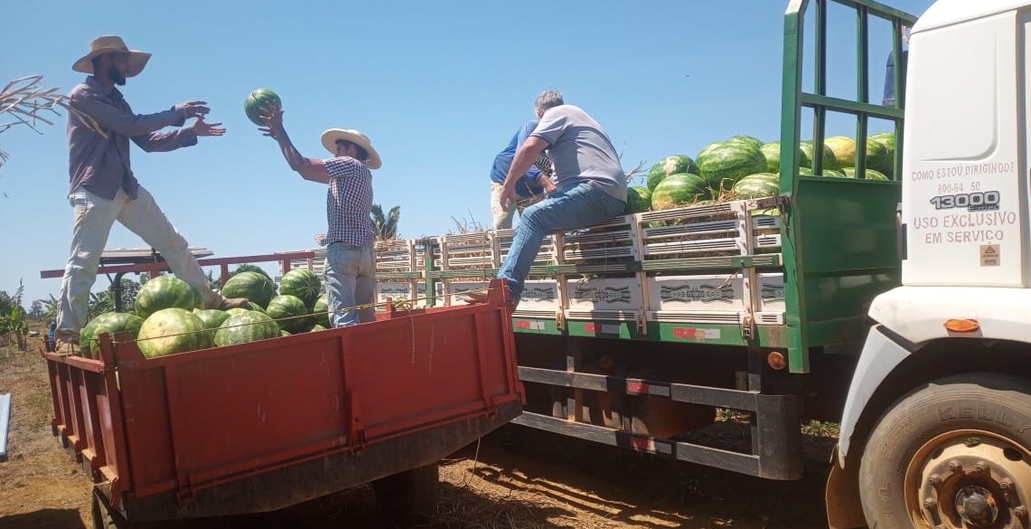 AGROTEC 2026 - Porto Velho lidera o agronegócio em Rondônia e o município é a vitrine desta força produtiva
