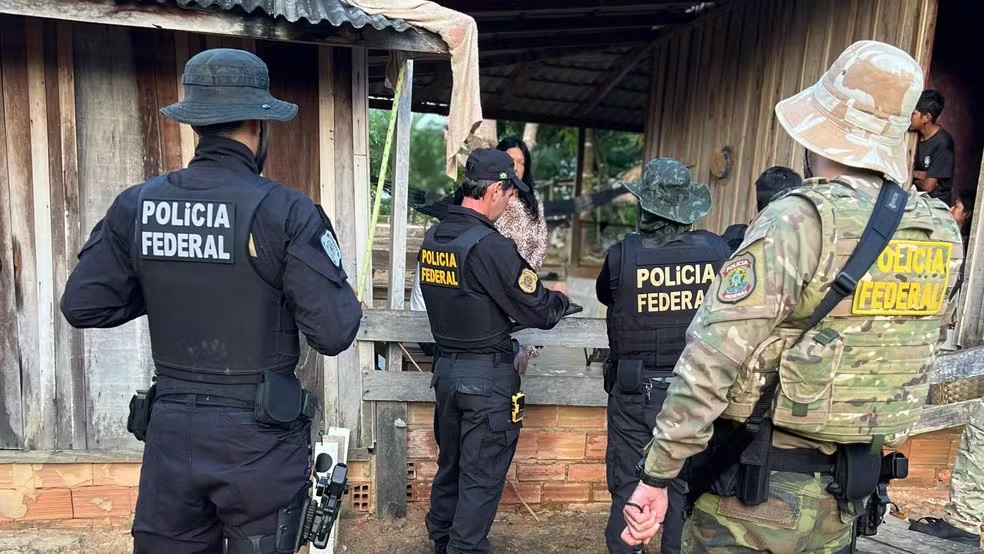 Operação da PF combate crimes ambientais em 3 estados e bloqueia R$ 11,3 milhões dos suspeitos