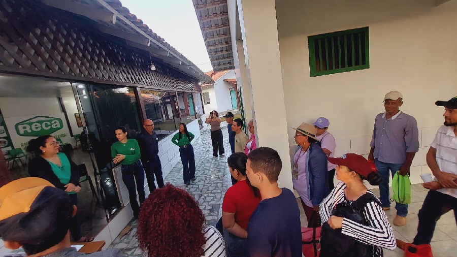 NOVA CALIFÓRNIA - Parceria da prefeitura com ong amplia conhecimentos sobre sistemas florestais
