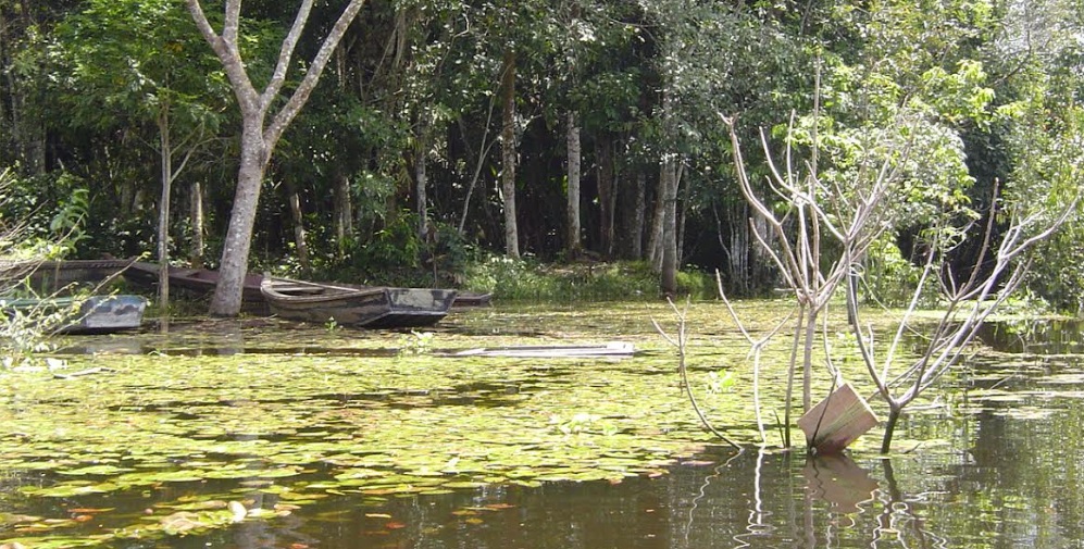 Povos da floresta em RO têm R$ 2,9 milhões em créditos produtivos disponíveis pelo Incra