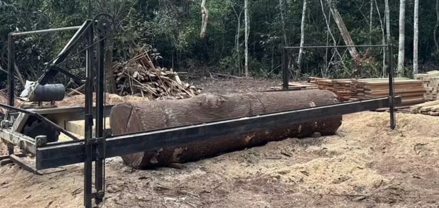 CERCO À DEVASTAÇÃO - PF destrói acampamento e duas serrarias em ação contra extração ilegal de madeira em Terra Indígena de Rondônia
