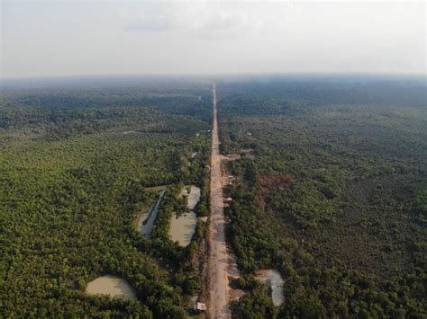 Governo cria quatro reservas em área estratégica da BR-319; território soma 669 mil hectares