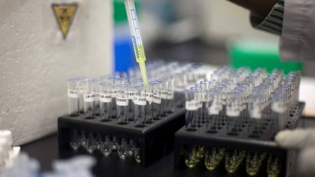 Cientistas avançam no uso células-tronco para doenças incuráveis