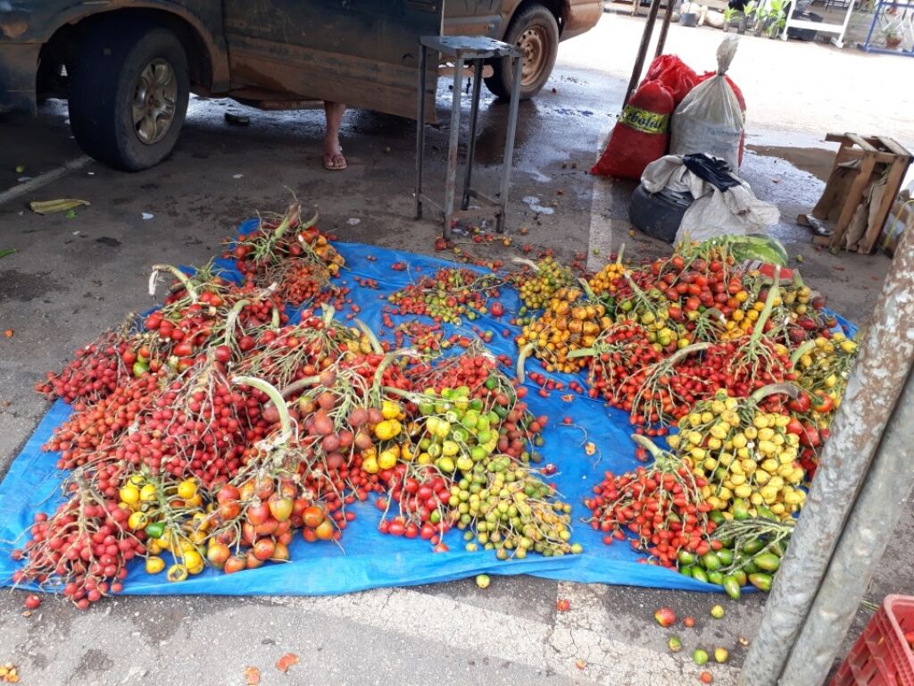 A Feira do Cai n'Água é perigosa e envergonha