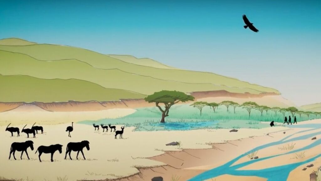 Estudo liga evolução humana a variação do clima na África