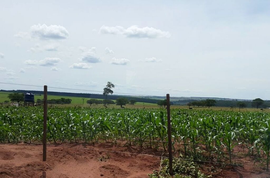 Famílias dos assentamentos do Incra em Rondônia receberão o título das terras