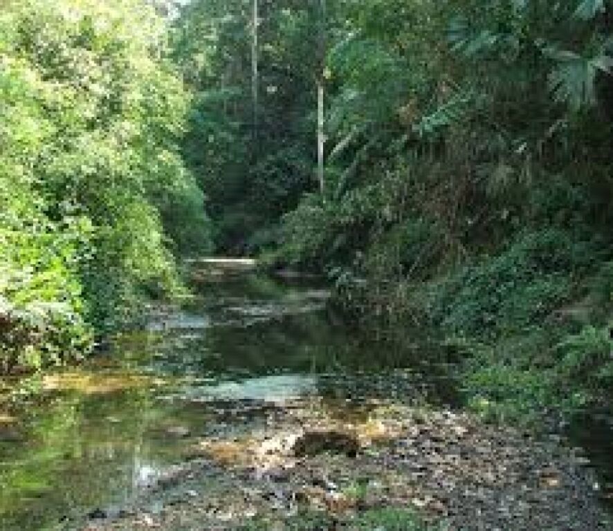 Follador defende direitos de famílias que seriam desalojadas por estação ecológica