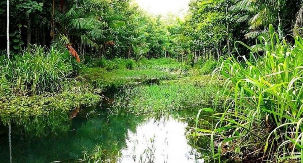 O rio Escondido está salvo. Resta salvar os outros em Rondônia