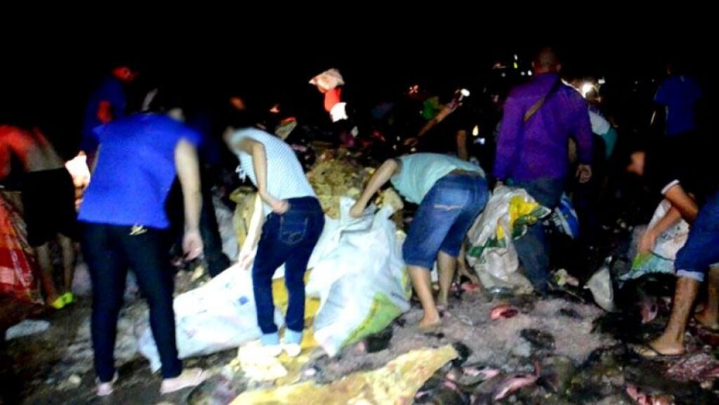 População saqueia carga de peixe derramada na pista em Rondônia
