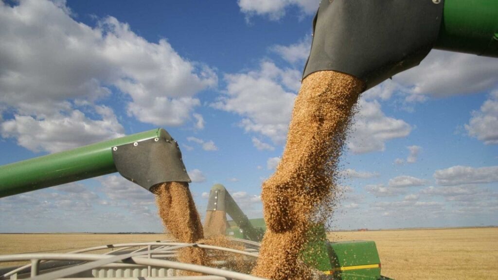 Quebra da safra argentina ajuda Brasil