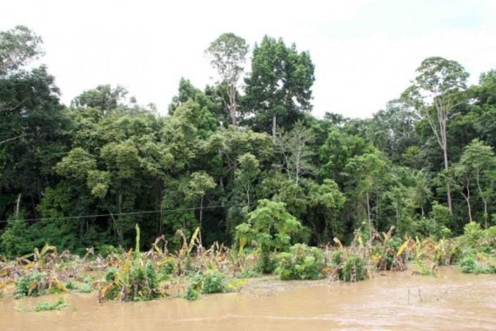 Rondônia vai conhecer riscos de desastres naturais pelo celular, informa a Defesa Civil Estadual