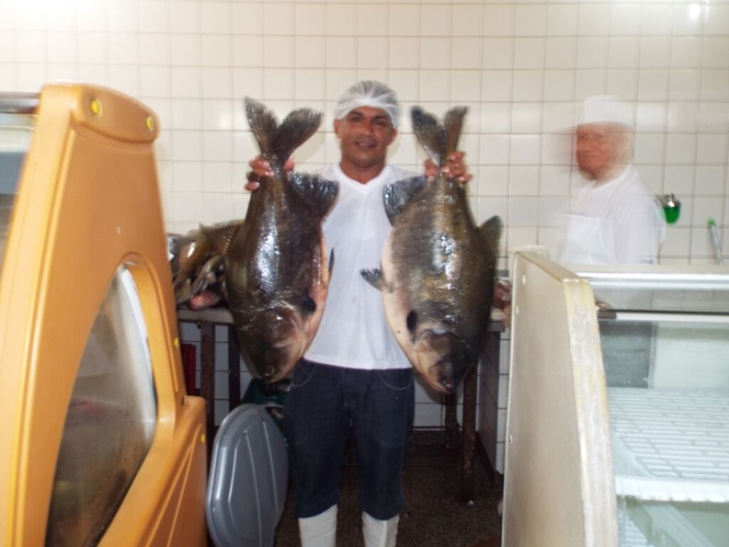 Semana Santa já movimenta mercados do peixe em Porto Velho