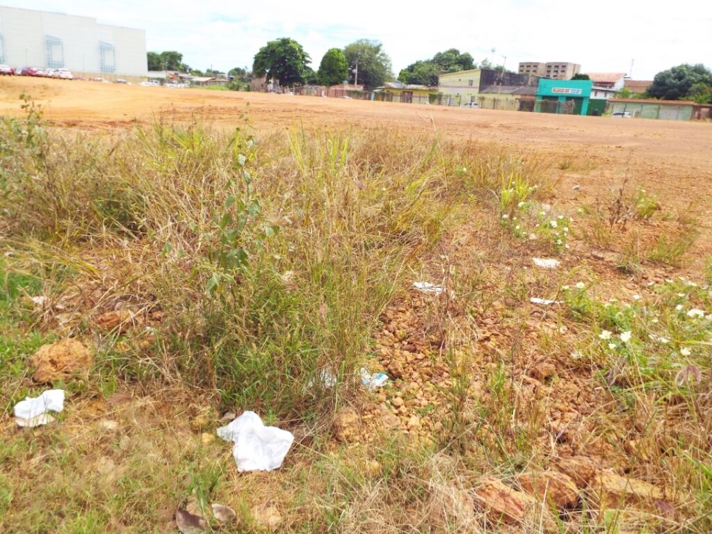 TERRENO BALDIO: Acaba hoje o prazo para limpar e construir muros