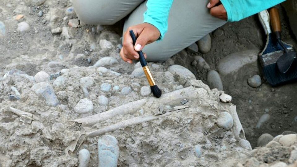 Arqueólogos encontram no Peru sítio do maior sacrifício de crianças do mundo