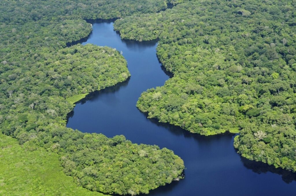 Brasil fabricará medicamentos a partir da biodiversidade do país