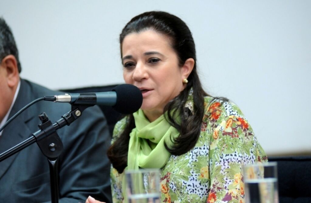 Marinha Raupp consegue apoio para colocar MP da transposição em pauta