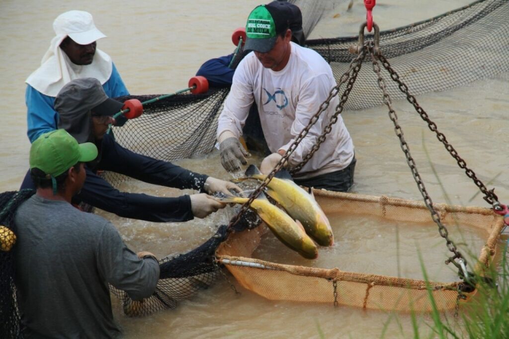 Pescadores não suportam rigor ambiental em APPs, alerta deputado