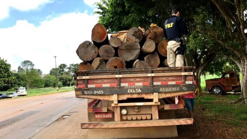 Caminhão com madeira irregular é apreendido pela PRF