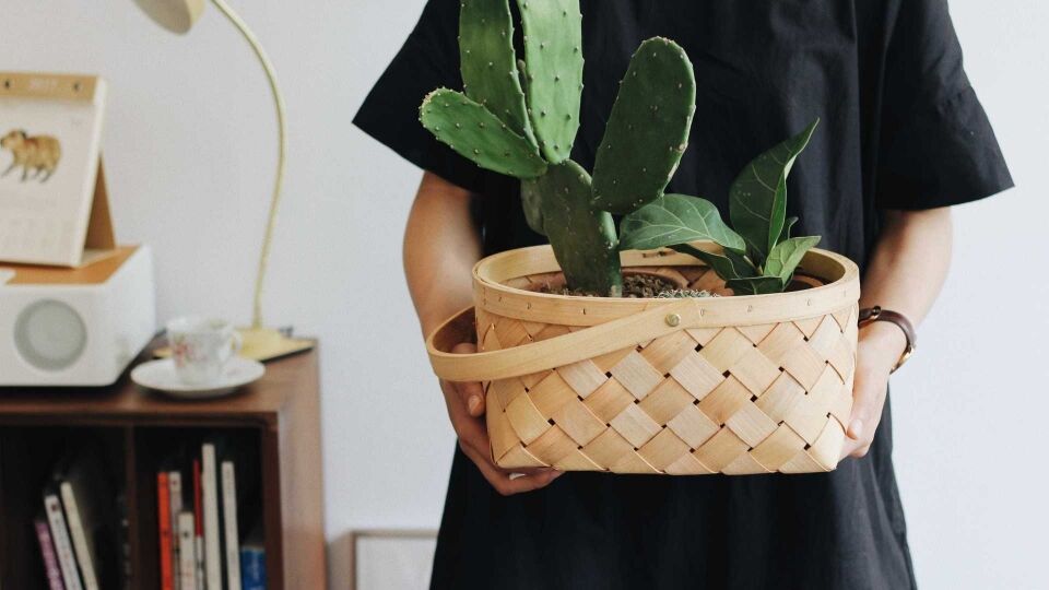 Veja os objetos que você não deve ter dentro de casa