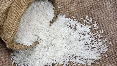 Saiba a diferença entre o arroz branco, parboilizado e integral