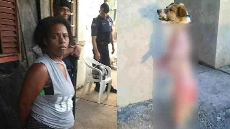 Uma mulher foi presa no Brasil por vender espetinho de cachorro?