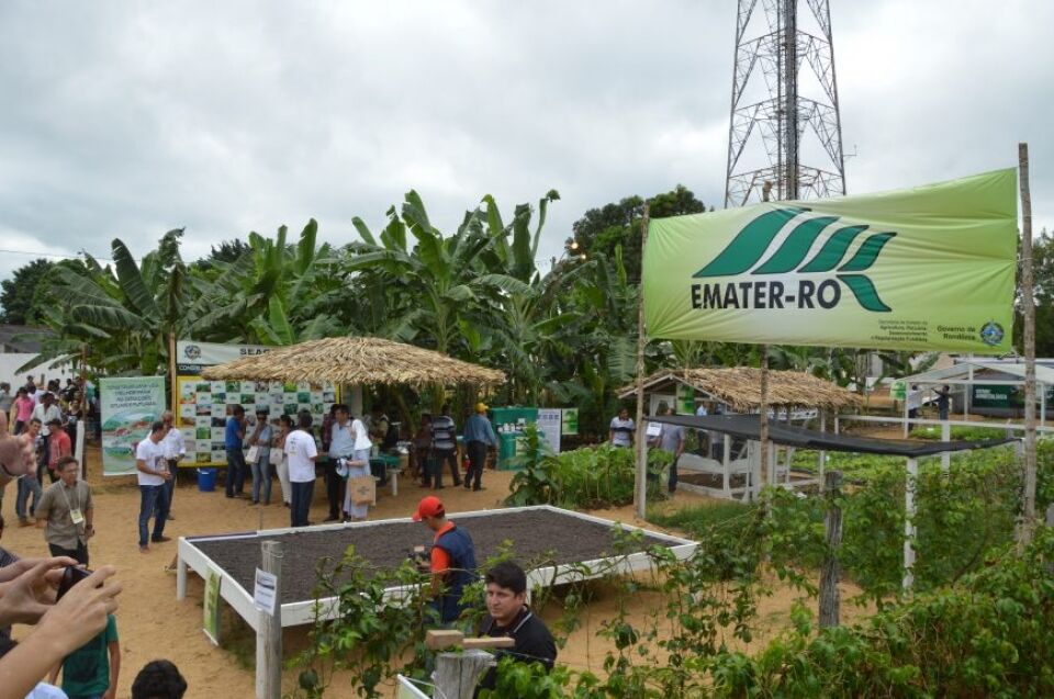 Emater-RO mostrará perspectivas para setor produtivo durante 7ª Rondônia Rural Show